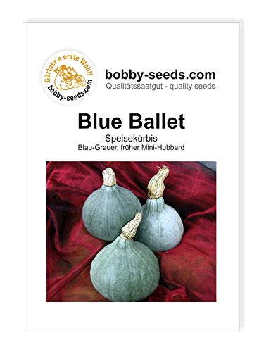 Blue Ballet Kürbissamen von Bobby-Seeds, Portion von Gärtner's erste Wahl! bobby-seeds.com