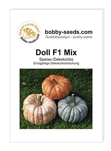 Doll F1 Mix Kürbissamen von Bobby-Seeds, Portion von Gärtner's erste Wahl! bobby-seeds.com