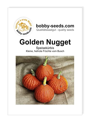 Bobby-Seeds Kürbissamen Golden Nugget Portion von Bobby-Seeds Saatzucht