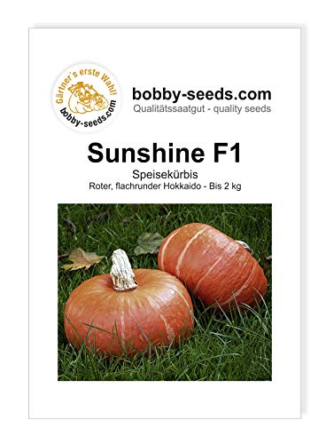 Bobby-Seeds Kürbissamen Sunshine (Sunny Hokkaido) F1 Portion von Bobby-Seeds Saatzucht