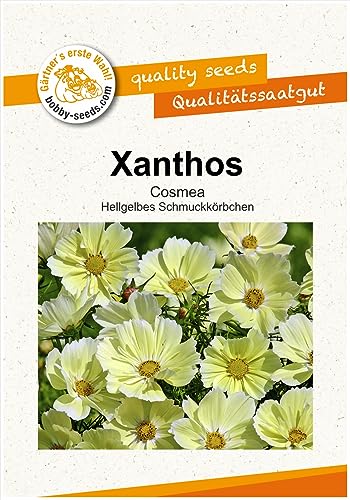 Blumensamen Xanthos Cosmee Portion von Gärtner's erste Wahl! bobby-seeds.com