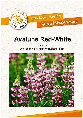 Blumensamen Avalune Red-White Lupine Portion von Gärtner's erste Wahl! bobby-seeds.com