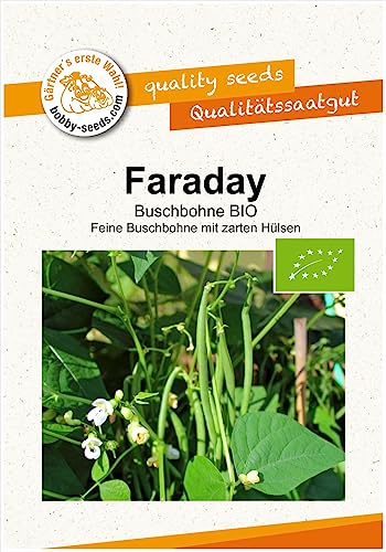 Faraday Buschbohne BIO-Bohnensamen von Bobby-Seeds, Portion von Gärtner's erste Wahl! bobby-seeds.com