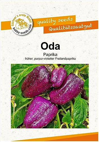 Paprikasamen Oda Blockpaprika Portion von Gärtner's erste Wahl! bobby-seeds.com