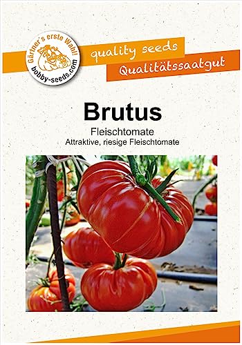 Tomatensamen Brutus Fleischtomate Portion von Gärtner's erste Wahl! bobby-seeds.com