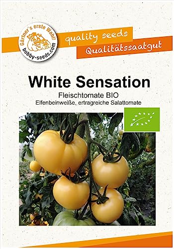 BIO-Tomatensamen White Sensation Portion von Gärtner's erste Wahl! bobby-seeds.com