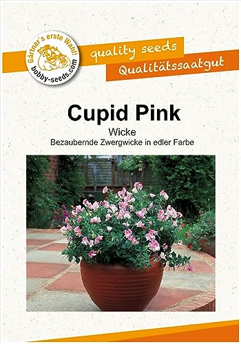 Blumensamen Cupid Pink Zwergwicke Portion von Gärtner's erste Wahl! bobby-seeds.com