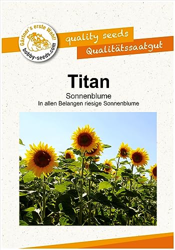 Blumensamen Titan Riesensonnenblume Portion von Gärtner's erste Wahl! bobby-seeds.com