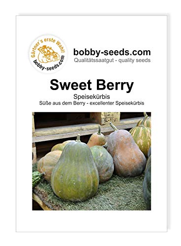 Sweet Berry - Sucrine de Berry Kürbissamen von Bobby-Seeds, Portion von Gärtner's erste Wahl! bobby-seeds.com
