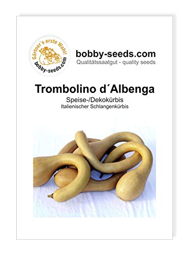 Bobby-Seeds Kürbissamen Trombolino de Albenga Portion von Bobby-Seeds Saatzucht