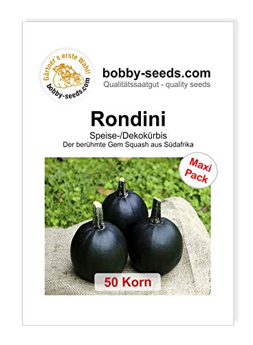 Bobby-Seeds Kürbissamen Rondini 50 Korn von Bobby-Seeds Saatzucht