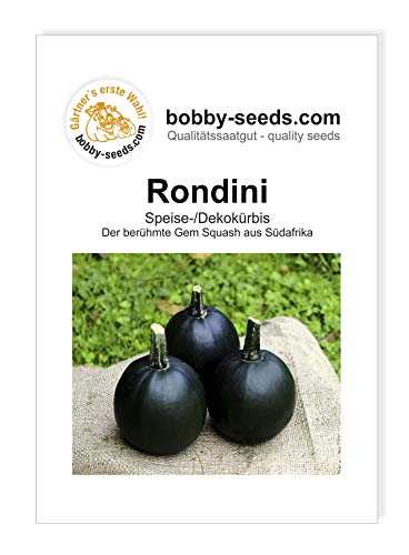 Bobby-Seeds Kürbissamen Rondini Portion von Bobby-Seeds Saatzucht