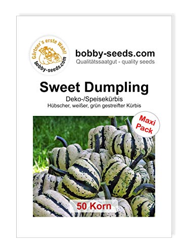 Sweet Dumpling Kürbissamen von Bobby-Seeds, 50 Korn von Gärtner's erste Wahl! bobby-seeds.com