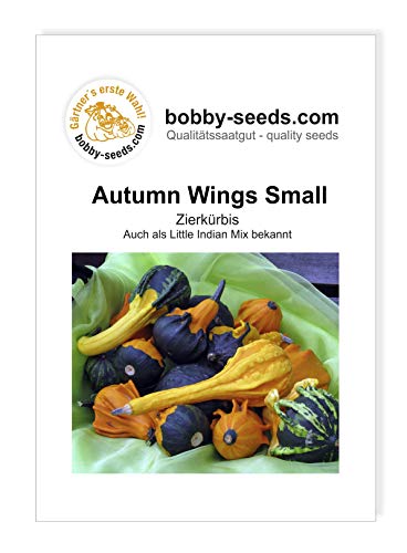 Autumn Wing S Zierkürbis von Bobby-Seeds, Portion von Gärtner's erste Wahl! bobby-seeds.com