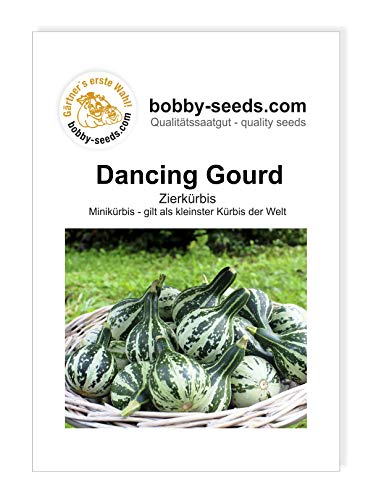 Dancing Gourd Zierkürbis von Bobby-Seeds, Portion von Gärtner's erste Wahl! bobby-seeds.com