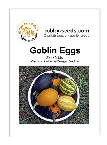 Goblin Eggs Zierkürbis von Bobby-Seeds, Portion von Gärtner's erste Wahl! bobby-seeds.com