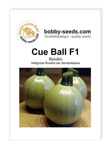 Bobby-Seeds Zucchinisamen Cue Ball F1 Portion von Bobby-Seeds Saatzucht