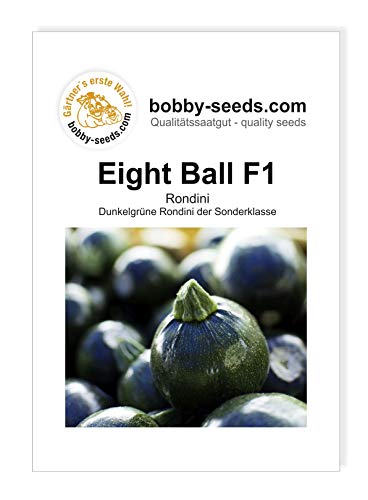 Eight Ball F1 Zucchinisamen von Bobby-Seeds, Portion von Gärtner's erste Wahl! bobby-seeds.com
