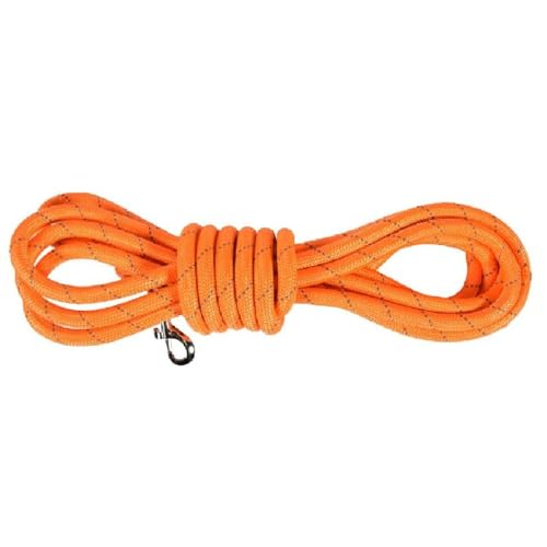 Bobby Walk 10 M – Hundeleine 3 Meter/Stärke 1,2 cm, schlauchförmige Hundeleine, starkes Nylon, Orange, 10 Meter von Bobby