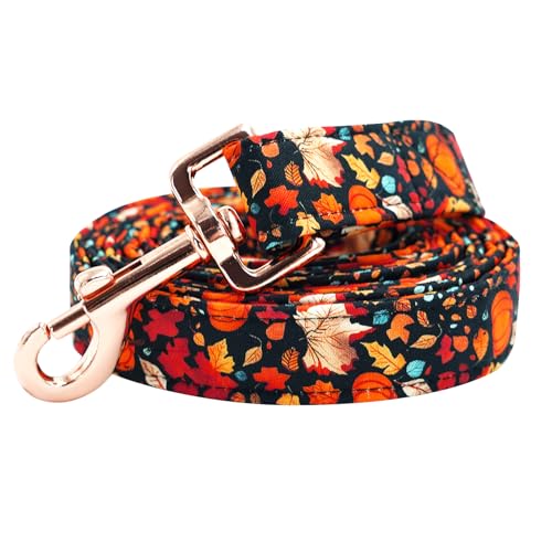 Bobo Rainbow Herbst-Hundeleine, Blatt-Kürbis-Druck, für Jungen/Mädchen, langlebig, stark, strapazierfähig, bequem, gepolstert, Welpen-Leine für kleine, mittelgroße und große Hunde Bobo Rainbow Herbst-Hundeleine, Blatt-Kürbis-Druck, für Jungen/Mädchen, langlebig, stark, strapazierfähig, bequem, gepolstert, Welpen-Leine für kleine, mittelgroße und große Hunde von Bobo Rainbow