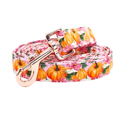 Bobo Rainbow Herbst-Hundeleine, Blumendruck, für Jungen/Mädchen, langlebig, stark, strapazierfähig, bequem, gepolstert, Welpenleine für kleine, mittelgroße und große Hunde Bobo Rainbow Herbst-Hundeleine, Blumendruck, für Jungen/Mädchen, langlebig, stark, strapazierfähig, bequem, gepolstert, Welpenleine für kleine, mittelgroße und große Hunde von Bobo Rainbow
