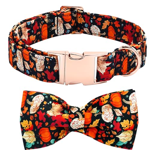 Bobo Rainbow Hundehalsband für Herbst, Blatt-Kürbis-Druck, verstellbar, niedlich, Baumwolle, weiche Halsbänder mit Fliege, Metallschnalle, Urlaub, Welpenhalsbänder, Geschenk für mittelgroße Hunde Bobo Rainbow Hundehalsband für Herbst, Blatt-Kürbis-Druck, verstellbar, niedlich, Baumwolle, weiche Halsbänder mit Fliege, Metallschnalle, Urlaub, Welpenhalsbänder, Geschenk für mittelgroße Hunde von Bobo Rainbow