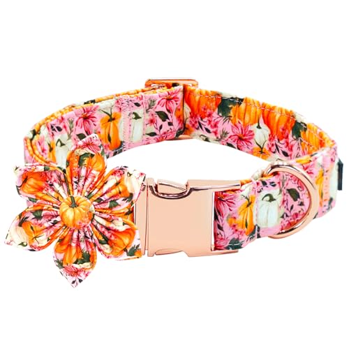 Bobo Rainbow Hundehalsband für den Herbst, rosa Blume, Kürbis, verstellbar, niedlich, Baumwolle, weiche Halsbänder mit Blume, Metallschnalle, Urlaub, Welpenhalsband, Geschenk für große Hunde Bobo Rainbow Hundehalsband für den Herbst, rosa Blume, Kürbis, verstellbar, niedlich, Baumwolle, weiche Halsbänder mit Blume, Metallschnalle, Urlaub, Welpenhalsband, Geschenk für große Hunde von Bobo Rainbow