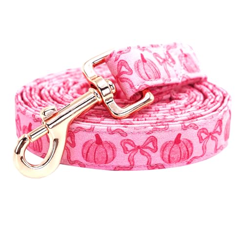Bobo Rainbow Hundeleine, rosa Kürbisdruck, für Jungen und Mädchen, langlebig, robust, bequem, gepolstert, Welpenleine für kleine, mittelgroße und große Hunde Bobo Rainbow Hundeleine, rosa Kürbisdruck, für Jungen und Mädchen, langlebig, robust, bequem, gepolstert, Welpenleine für kleine, mittelgroße und große Hunde von Bobo Rainbow