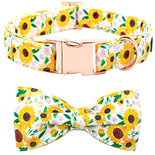 Bobo Rainbow Spring Hundehalsband – Sonnenblumen-Halsband mit Schleifen für Hunde, Fliege, Haustierhalsband, verstellbar, für Mädchen, Welpen, Halsband für X-Small Hunde Bobo Rainbow Spring Hundehalsband – Sonnenblumen-Halsband mit Schleifen für Hunde, Fliege, Haustierhalsband, verstellbar, für Mädchen, Welpen, Halsband für X-Small Hunde von Bobo Rainbow