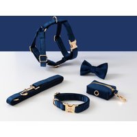 Personalisierter Schritt in Hundegeschirr Und Leine-Set, Blauer Benutzerdefinierter Samt-Geschirr-Kragen Bowtie Poo-Beutelhalter, Kein von Bobocollar