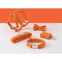 Personalisiertes Hundegeschirr Und Leine Set, Orange Cord Samt Halsband Fliege Poo Bag Halter, Kein Zuggeschirr Für Jungen Welpe von Bobocollar
