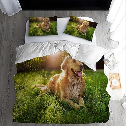 Bettwäsche 135x200 Golden Retriever Bettbezug Set mit Reißverschluss Weiche Atmungsaktive Mikrofaser Bettwäsche-Sets Tier und 2 Kissenbezüge 80x80 cm von Boceoey