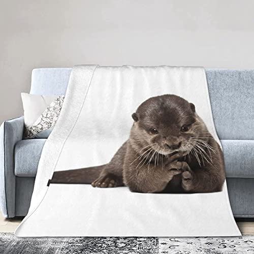 Boceoey Decke 220x240 Kuscheldecke Flauschig - Weich Warme Fleecedecke für Bett Couch - Wohndecke als Couchdecke Bettüberwurf Tagesdecke Campingdecke Otter Boceoey Decke 220x240 Kuscheldecke Flauschig - Weich Warme Fleecedecke für Bett Couch - Wohndecke als Couchdecke Bettüberwurf Tagesdecke Campingdecke Otter von Boceoey