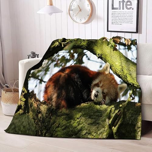 Kuscheldecke Flauschig 220x240 Roter Panda Decke Sofa Flanell Fleecedecke, Weich und Warme Decken als Sofadecke Wohndecke Couchdecke Tagesdecke, Leichte Decke von Boceoey