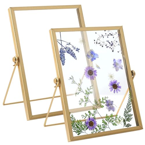 Bilderrahmen Glasrahmen für Gepresste Blumen 15 X 20 cm, 2er Doppelseitiger Fotorahmen, Bilderrahmen Gold Metall Desktop Fotorahmen, Getrockneter Blumen Artwork Bild Display Halter von Bocguy