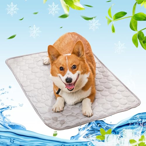 Bocguy Kühlmatte Hund, 100x70cm Kühldecke Hund, Kühlmatte Katze, Selbstkühlende Hundematte, Kühlmatte für Haustiere für Zuhause Unterwegs oder im Auto Hellgrau Bocguy Kühlmatte Hund, 100x70cm Kühldecke Hund, Kühlmatte Katze, Selbstkühlende Hundematte, Kühlmatte für Haustiere für Zuhause Unterwegs oder im Auto Hellgrau von Bocguy
