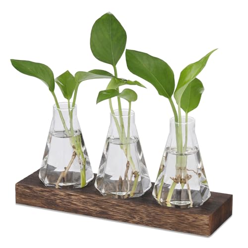 Hydrokultur Topf Pflanzen Terrarium Glas Vasen, Ableger Pflanzen Glas, Propagation Station Glasvase Klein Blumenvasen Set Mit StäNder Holz, Gültigkeit für Büro Haus Dekor Garten (3 Vasen) von Bocguy