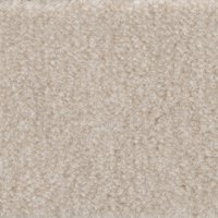 Bodenmeister Teppichboden "Jupiter, Velours - meliert, Made in Belgium", rechteckig, 7,5 mm Höhe, Wohnzimmer, Schlafzimmer, Kinderzimmer, Breite 400/500 cm Bodenmeister Teppichboden "Jupiter, Velours - meliert, Made in Belgium", rechteckig, 7,5 mm Höhe, Wohnzimmer, Schlafzimmer, Kinderzimmer, Breite 400/500 cm von Bodenmeister