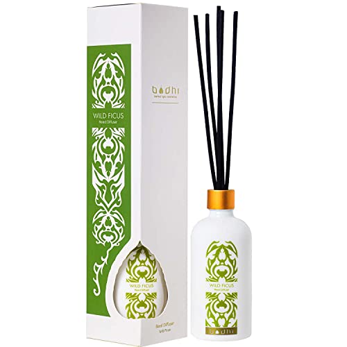 Bodhi® Reed Diffuser Wilde FEIGE 90 ml - Duftstäbchen für einen frischen Duft Ihrer Räume | Premium Raumduft ohne Alkohol von BODHI