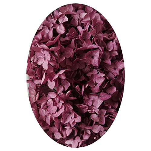 Bodhi2000 1 Box Konservierte Blumen Lang anhaltende schöne künstliche Hortensien Blumen Praktisch Dunkelrot von Bodhi2000