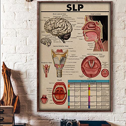 Vintage Metall-Blechschild Slp Sprachsprache Pathologe Gehirn Seitenansicht Kopf Cutaway Wissen Poster Blechschild Poster Vintage Metallschilder für Bar Musik Club Männerhöhle Zimmer Wanddekoration 14 von Bodyard