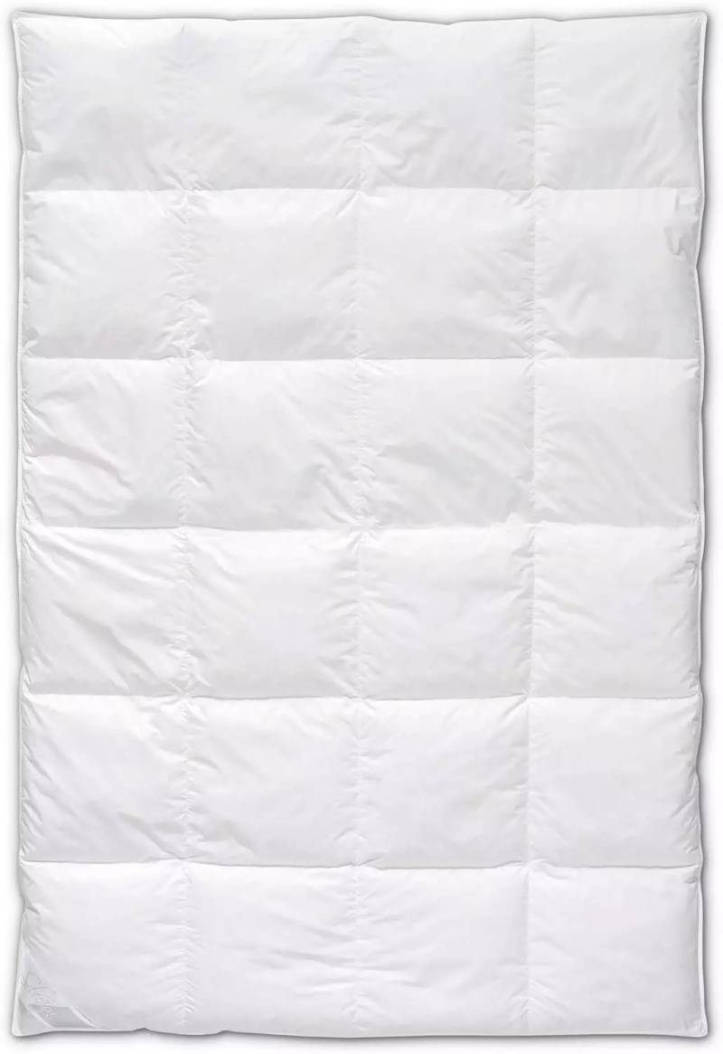 B-Ware Böhmerwald Selection Dauneneinziehdecke Bettdecke Allergikergeeignet 200x200cm von Böhmerwald