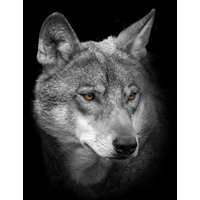 Bönninghoff Keilrahmenbild Wolf B/L: ca. 46x61 cm von Bönninghoff