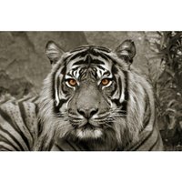 Bönninghoff Keilrahmenbild Tiger B/L: ca. 118x78 cm von Bönninghoff