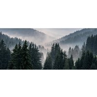 Bönninghoff Keilrahmenbild Wald B/H/L: ca. 60x2,3x140 cm von Bönninghoff