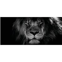 Bönninghoff Leinwandbild "Löwe" 1 Stk. tlg. Bönninghoff Leinwandbild "Löwe" 1 Stk. tlg. von Bönninghoff