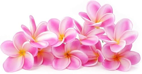 Strauß mit 10 künstlichen Plumeria Hawaii-Blumen, fühlt sich echt an, lebensechte Kunstblumen, Blumenstrauß Hawaii, Lei, Frangipani für Hochzeit, Zuhause, Kuchendekoration (hellviolett + weiß) von Boerni