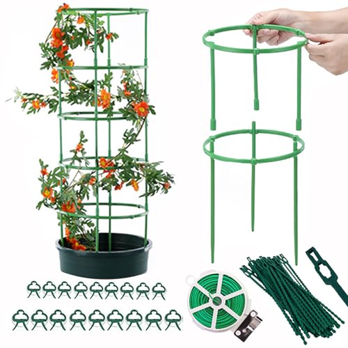 Bogoro Rankhilfe Tomaten und Gurken 4 Set Anpassbare Rankgitter für Tomaten mit Pflanzenklammern 18 PES, 20 Meter Schleifenbinder 1 PES,Kabelbinder 12 PES,Pflanzenhalter für Blumen Pflanzen Garten Bogoro Rankhilfe Tomaten und Gurken 4 Set Anpassbare Rankgitter für Tomaten mit Pflanzenklammern 18 PES, 20 Meter Schleifenbinder 1 PES,Kabelbinder 12 PES,Pflanzenhalter für Blumen Pflanzen Garten von Bogoro
