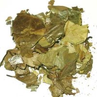 Getrocknete Blätter | Graviola Guanabana Annona Muricata von BohemianNatureHerbs