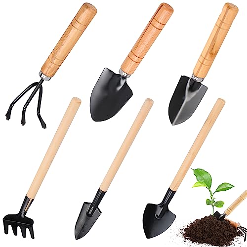 Bohrma 6 PCS Mini Gartenwerkzeug Set Mini Pflanze Gartengeräte Gartenschaufel Klein Gartengeräte Set Gartengeräte Set Mini Holzgriff Handheld Mini Schaufel Spaten Rechen Gartenset Werkzeug für Bonsai von Bohrma